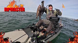 Lingcod LIMIT + Rockfish LIMIT in 38° Wind (Kayak Fishing Oregon Coast)