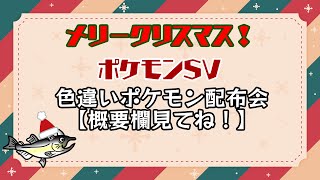 【概要欄必読】色違いポケモン配布します！メリクリ！！！【ポケモンSV】