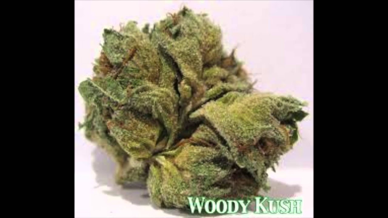 16 Types Of Kush, Blue Berry Kush, Banana Kush, Og Kush etc YouTube