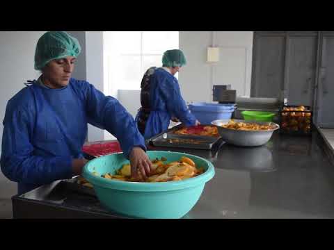 იზოლდი ქიტესაშვილი  ხურმის ჩიფსი ქართულია