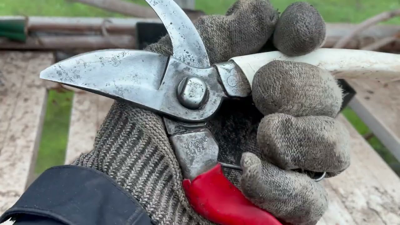 Winter Tool Maintenance!