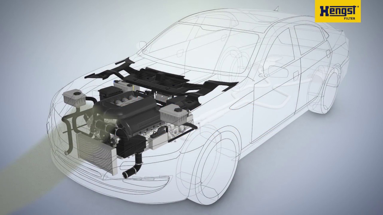 Innenraumfilter / Pollenfilter fürs Auto: Funktion, Austausch und Intervalle