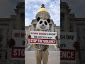 I make a Pledge to Promote Positivity! #viral #shorts #404day #trending #atl #shorts #shorts #panda