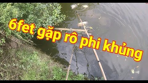 Kích cá gặp toàn rô phi khủng với máy kích cá điện tử 6fet chuyên đánh bộ- HOTLINE: 0985270335