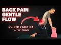 GENTLE Guided BACK PAIN FLOW w/ Dr. Davis (Pain Relief & Mobility Exercises For A Sore Back))