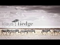 Limited edition prints - Quality &amp; Originality | Klaus Tiedge - Wildlife Fine Art Photographer