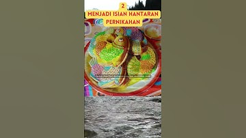 Thumbnail of 5 Fakta Kue Bhoi, Bolu Berbentuk Ikan Khas Aceh yang Nikmat!