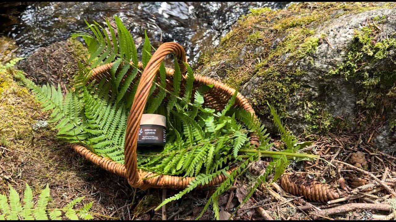 Introducing Jardin de Lumière, our greatest creation yet