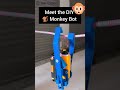 DIY Monkey Bot || Crawling Bot #diy #robot #diyrobotics #shorts
