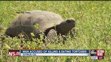 Man accused of eating gopher turtles