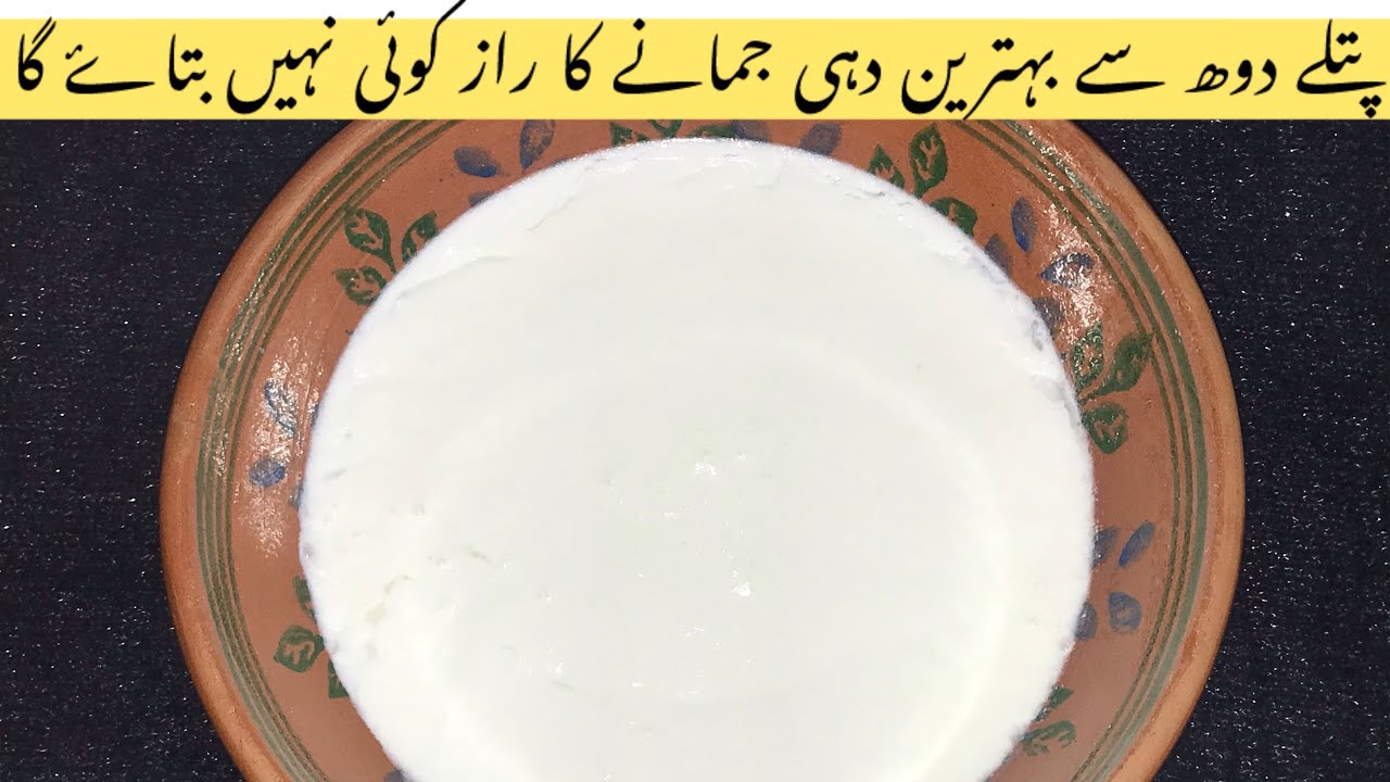 Patly Doodh Sy Ghar Mein Dahi Jamane Ka Tarika - Dahi jamane Ka Sahi ...