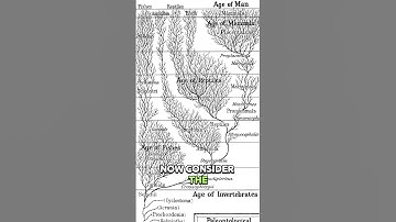 Consciousness Is Everywhere