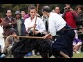 A moment that seems eternal what is japanese martial arts meiji jingu autumn grand festibal