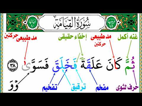 تجويد سورة القيامة بطريقة تحببك فى التجويد الجزء الاخير المدود وانواعها تجربتى مع هذه الطريقه