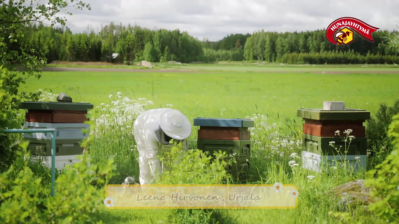 HUNAJAYHTYMÄ 2015 TUOTTAJAVIDEO Leena Hirvonen