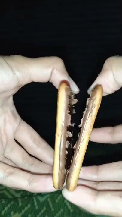 roma malkist coklat #fyp