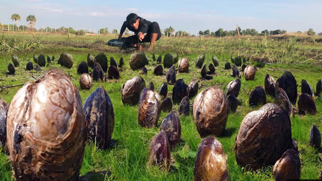 The best hand fishing! Catch lots of big oysters in the fields for