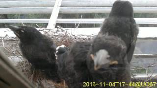 20161104T1730~1800