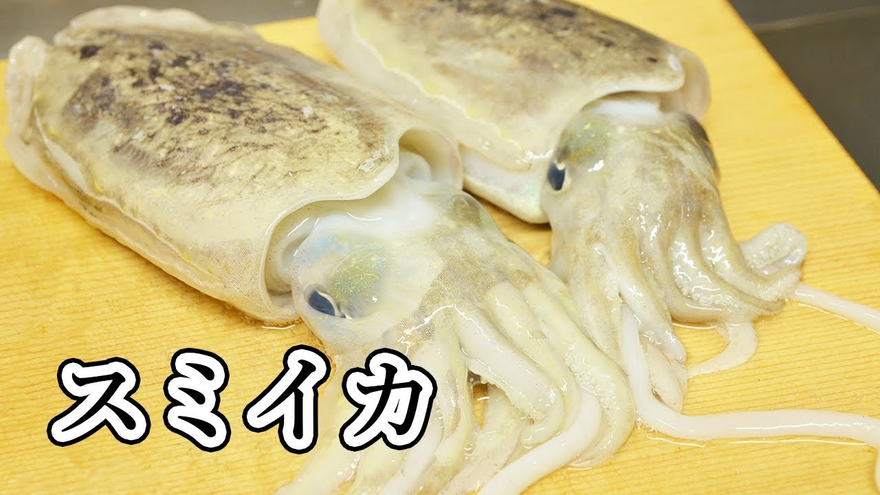 寿司職人によるスミイカの仕込みから握りまで How To Make Squid Sushi Youtube