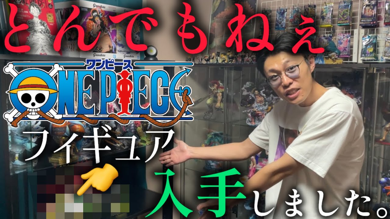 ONE PIECE] A True Miracle! The Man Who Got His Hands on an