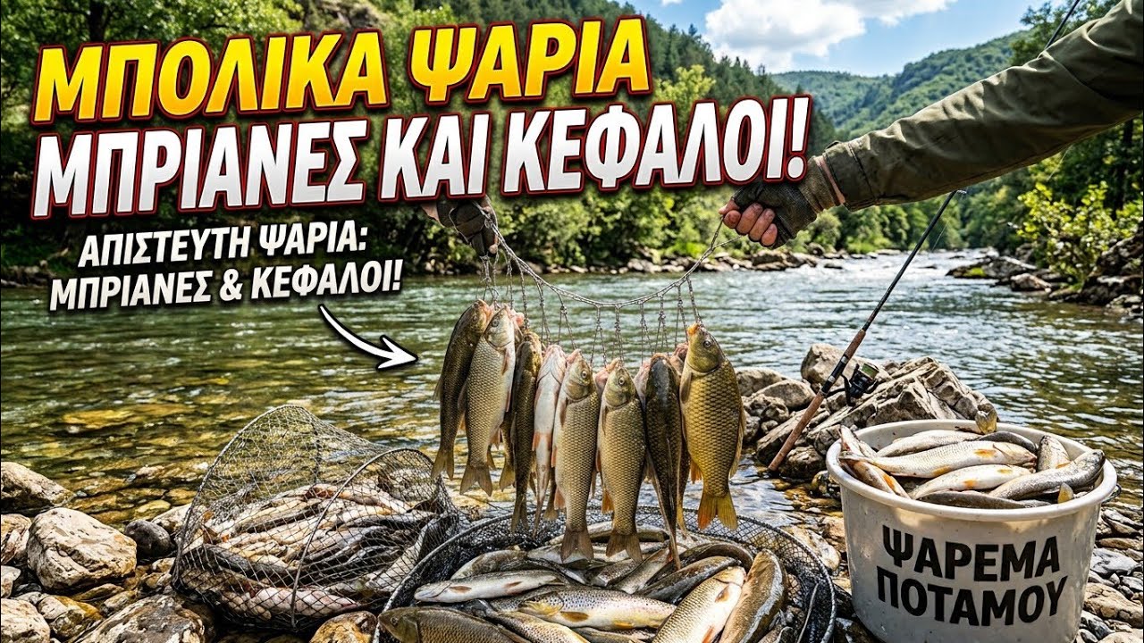 Ψάρεμα στον Αλιάκμονα (τα ψάρια δεν σταμάτησαν να τσιμπάνε) #fishing