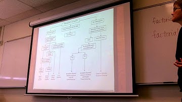 Factorial designs: Experimental designs with 2+ IVs 14