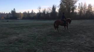 Max flat work 11-4-15