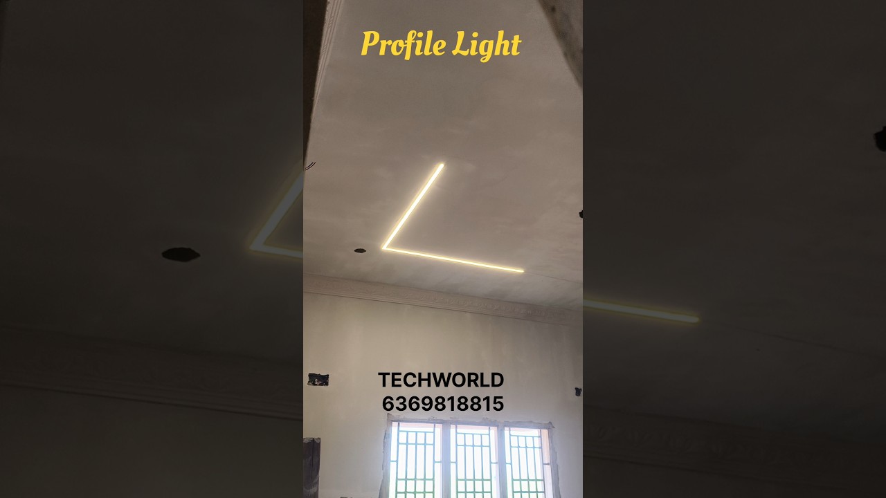 First project 2026 profile light 