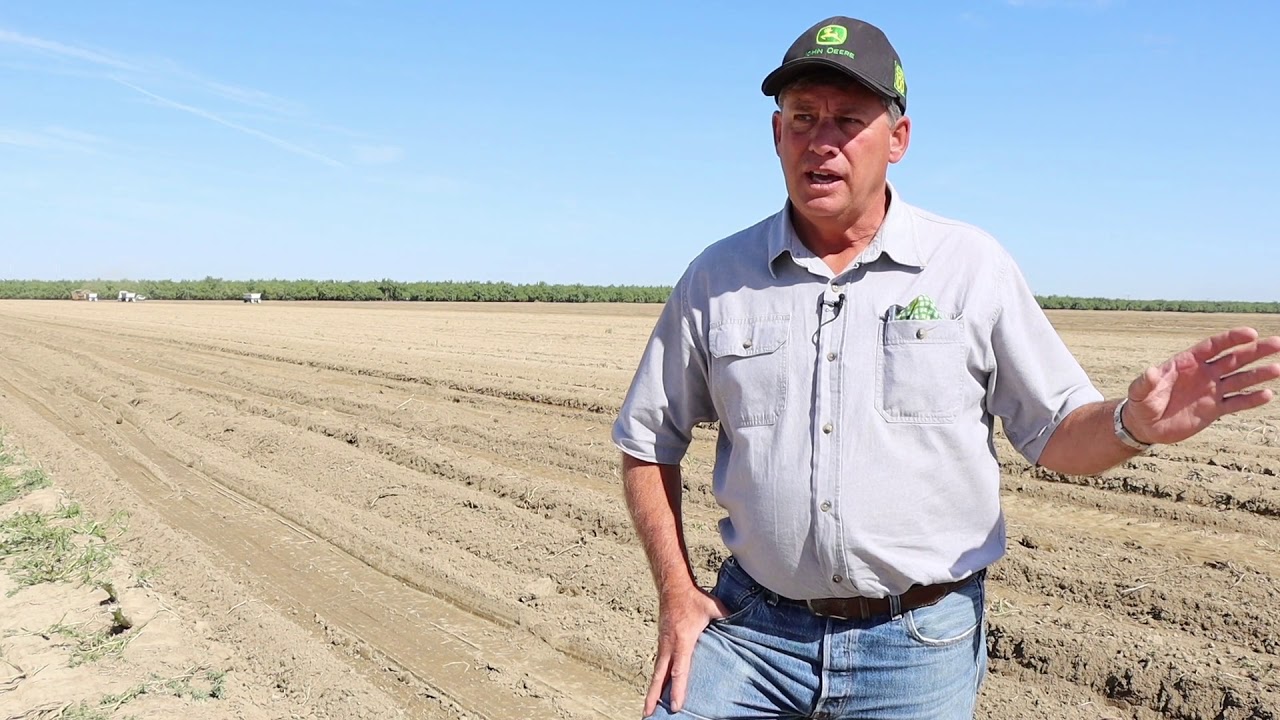 Top Brass Marketing MeaningKosh