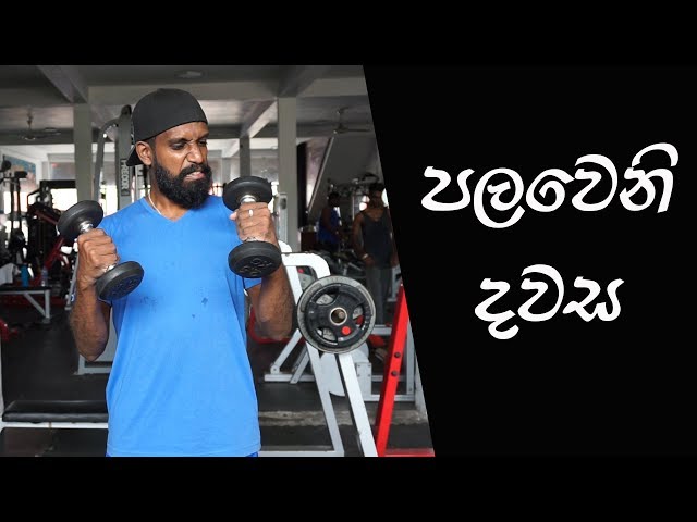 පලවෙනි දවස | 1st day at the Gym - Ratta class=