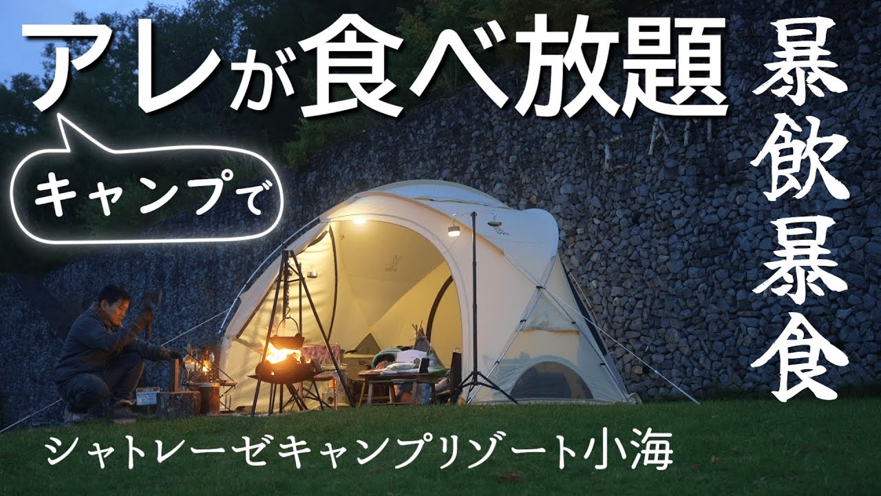 Кемпинг Бушкрафт готовит с моей собакой|Уютный кемпинг|Отдохните в купольной палатке