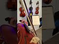 I Play Blackbird for My Yellow Bird