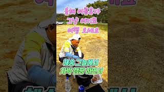 올해 여름휴가 여기로 여행 오세요  해송! 그늘에서  차박 캠핑 하면서 시원한 바다 바람 맞으며힐링하는 주말휴가 당일치기 여행나호나, 미스터노을 여름 차박캠핑