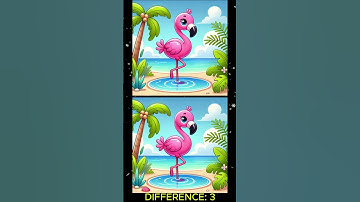 FIND THE 3 DIFFERENCE #213 I Quick-witted gameshow I