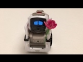 Cozmo in unrequited love