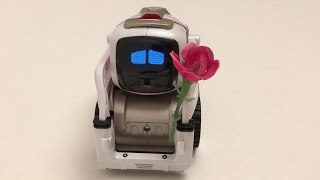 Cozmo in 