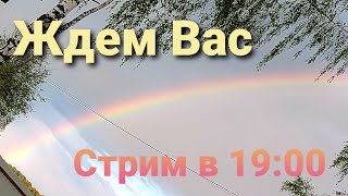 ▶️Стрим №56 Карантин по птичьему гриппу (ГРИППУ ПТИЦ)