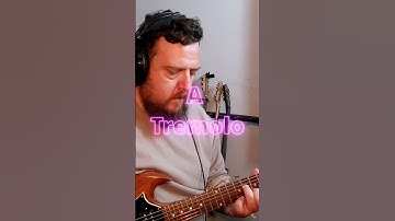 Tremolo Blind Test 🎸 2008 Line 6 M13 vs 2025 Ampero