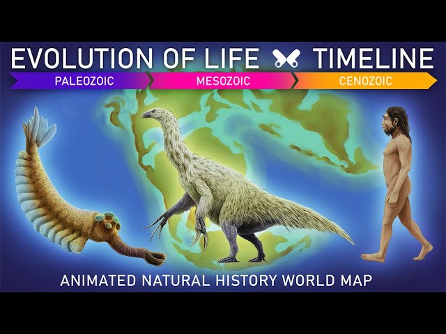 Extinct animals timeline