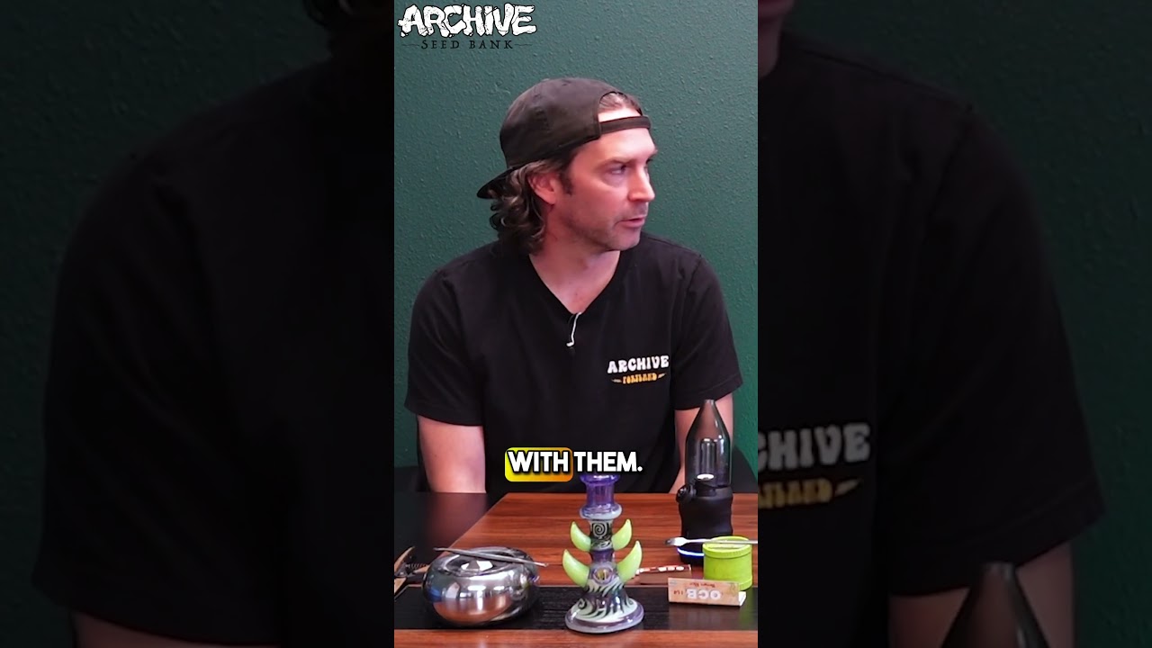 HONEY BANANA Rosin review just dropped on the channel!! 💨 