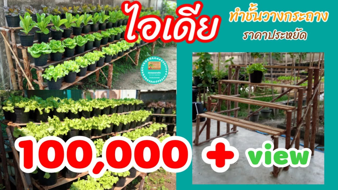 ไอเดียทำชั้นวางกระถาง ราคาประหยัด | สอนวิธีทำชั้นวางกระถาง | ผักปลอดสารพิษบ้านน้องปลายฝน |