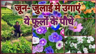 जून और जुलाई मे जरूर लगाएं ये 15 फूलों के पौधे / June and July flowering plants