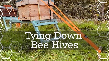 How to tie beehives down against strong winds! (Using Ratchet Straps)