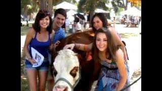 Truth On Earth-   Vegan Girls Band