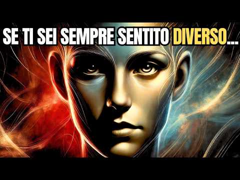 Hai Queste 6