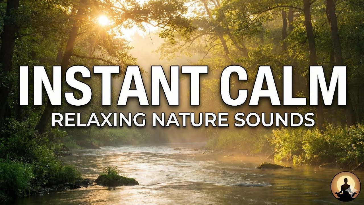 8 Minute Morning Meditation | Beautiful Nature Video for Positive Energy & Focus