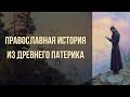 Монахи выяснили, как важно воздержание для души