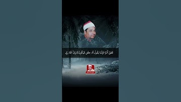 تلاوة تلامس القلب للقارئ الشيخ محمد الليثي رحمه الله #القران_الكريم #اكسبلور #المصحف #تلاوات #تيك_تو