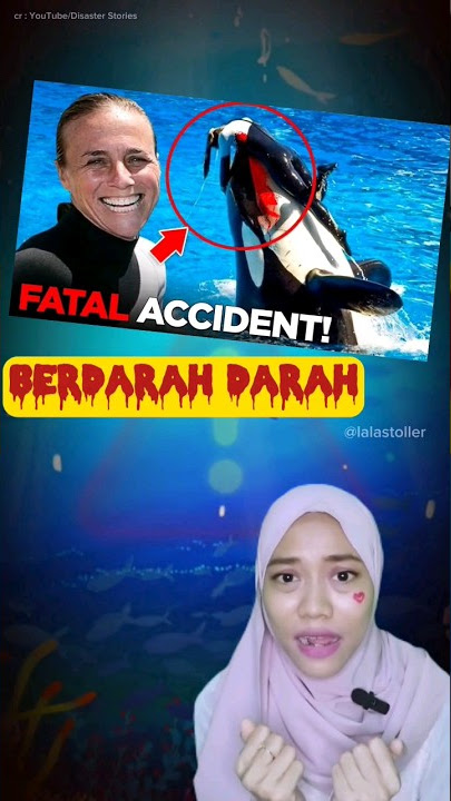 TRAINER DIBUNUH ORCA⁉️ YANG DI LATIHNYA BERTAHUN-TAHUN #orca #shorts #tragedy