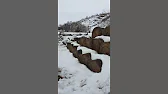 Семья Фетистовых